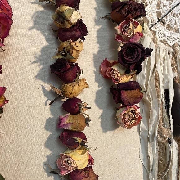 Dried 🥀 Roses - Picture 8 of 9